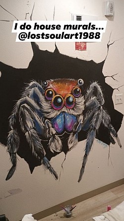 Acrylic mural on wall of jumping spider price was $2,000