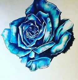 Blue Rose